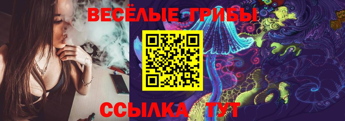 Псилоцибиновые грибы Cubensis  купить закладку  Губаха  Псилоцибиновые грибы мицелий  Вход с VPN 