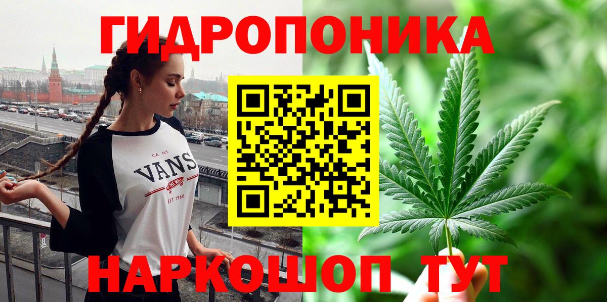 ГАШИШ Губаха